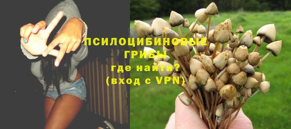 каннабис Аркадак