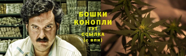 амф Арсеньев